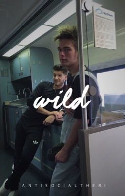 wild || thiam au