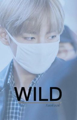 WILD [ vkook ]