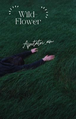 Wildflower 