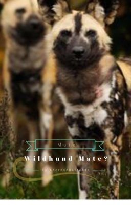 Wildhund mate?{Abgebrochen} 