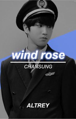 wind rose ✈ chansung