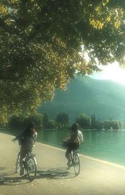 -windbreaker x reader- BF