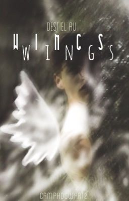 Wings » Destiel AU