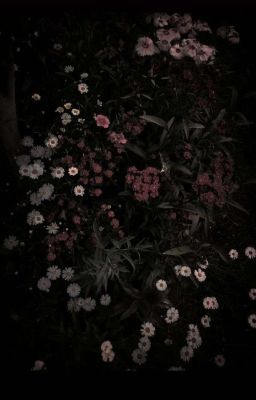 winnysatang | tình mình đã vỡ chưa em?