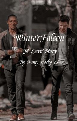 WinterFalcon - A Love Story❤️