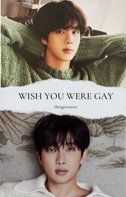 wish you were gay • namjin 