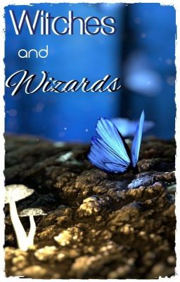 Witches and Wizards-PDH X Reader