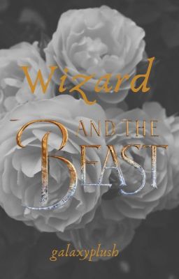 Wizard & The Beast: SKALEX