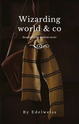 Wizarding World & co || Recueil d'OS sur le monde sorcier