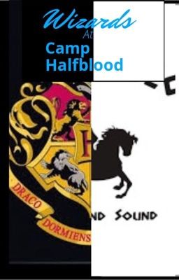 Wizards at Camp Half-Blood- on temporary hold