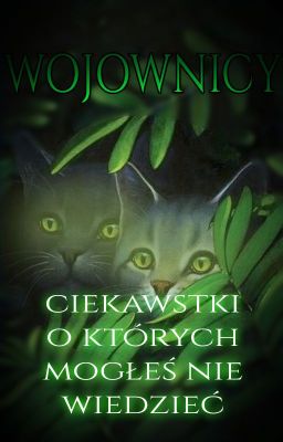 Wojownicy - Ciekawostki o których mogłeś nie wiedzieć