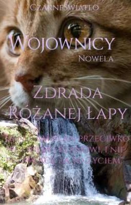 Wojownicy nowela - Zdrada Różanej Łapy 