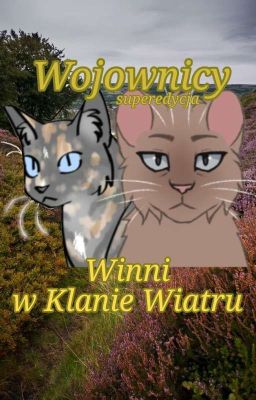 Wojownicy Superedycja Winni w Klanie Wiatru