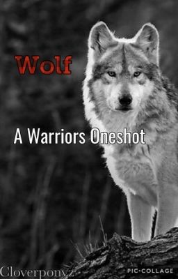 Wolf- a Warriors Oneshot 