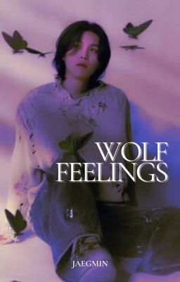 wolf feelings | sukook