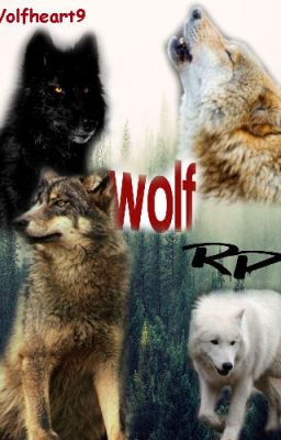 Wolf Rp (Closed)