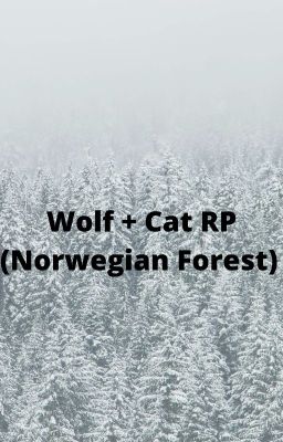 Wolf RP (Norwegian Forest) (Cats are allowed)