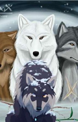 Wolf's Rain