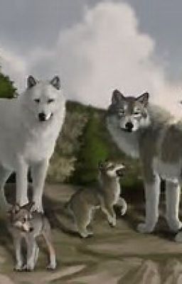 WolfQuest