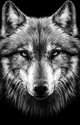 wolfs sin