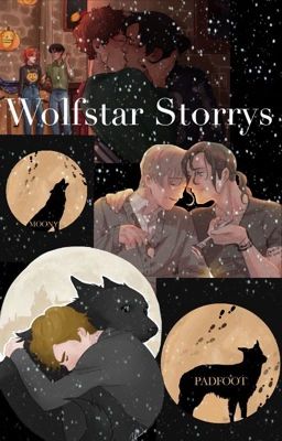 Wolfstar Storys