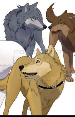 Wolves from Wolf's Rain anime FREE HAND!!