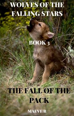 Wolves of the Falling Stars Book 3: The Fall of the Pack