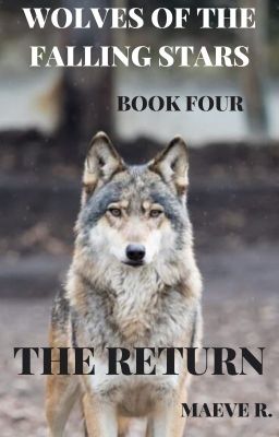 Wolves of the Falling Stars Book 4: The Return