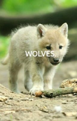 Wolves. (#Wattys2018)