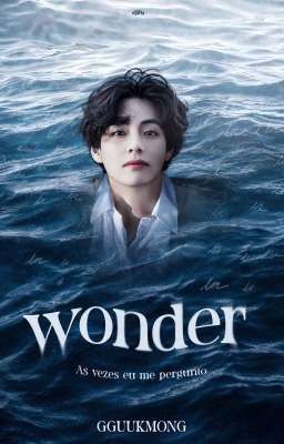 wonder - taegi