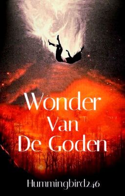 Wonder van de Goden [Kronieken van Rhâga #2]