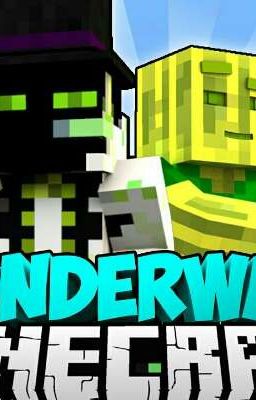 Wonder Warp ff
