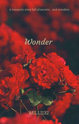 Wonder~When Impossible things become possible...