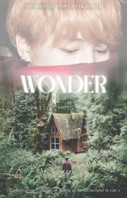 Wonder | ym