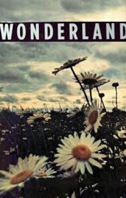 Wonderland