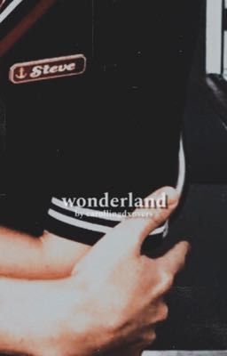 wonderland ━━━━ steve harrington fic