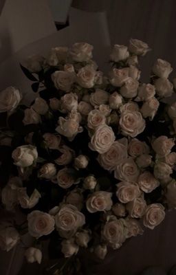 WonJay•mắng yêu.