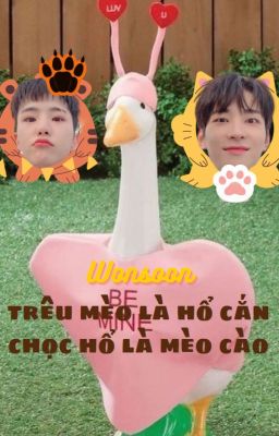 wonsoon | • trêu mèo là hổ cắn chọc hổ là mèo cào •