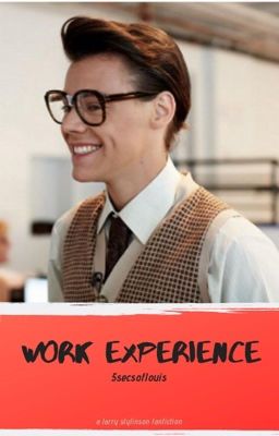 Work Experience (Punk! Louis + Nerdy Harry)