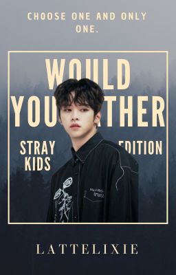 Would You Rather (stray kids edition)