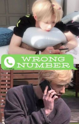 Wrong Number ↳ 𝐂𝐡𝐚𝐧𝐥𝐢𝐱 [on hold]