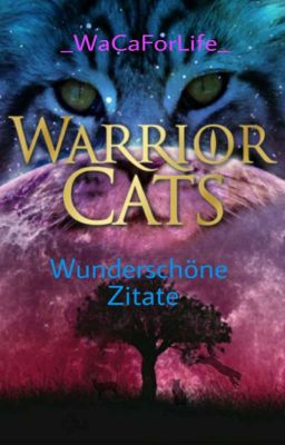 Wunderschöne Warrior Cats Zitate❤ || WarriorCats WaCa 