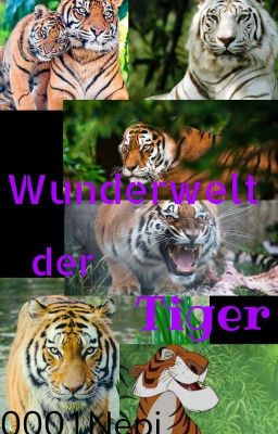 Wunderwelt der Tiger