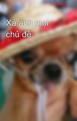 Xả ảnh mọi chủ đề