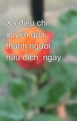 Xạ điêu chi xuyên qua thành người hầu đích  ngày