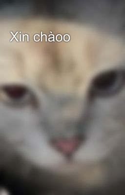 Xin chàoo