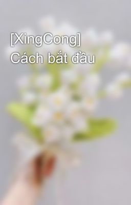 [XingCong] Cách bắt đầu 