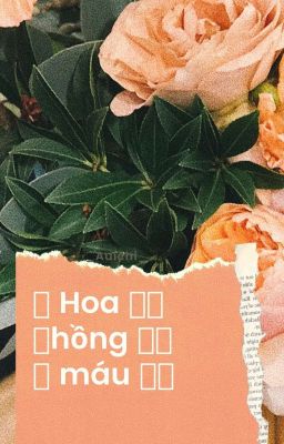 (xk | allga) Drop Hoa hồng máu