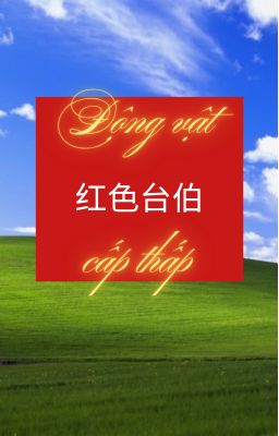 [XS] Động vật cấp thấp