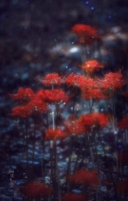 Xương Mộ | mẫu truyện nhỏ về chúng ta 